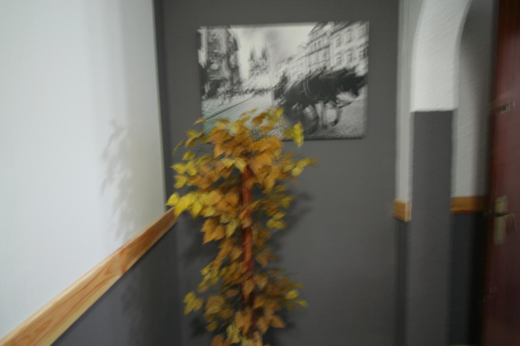 Hostal Restaurante Avenida De Madrid Terrassa Esterno foto